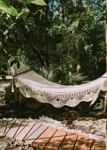 Jardin de l'établissement Kuun Taak Tulum