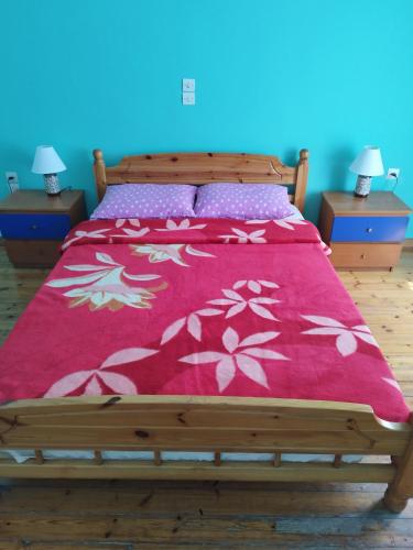 a bedroom with a bed with a pink blanket at Rental room pilika4 in Athens