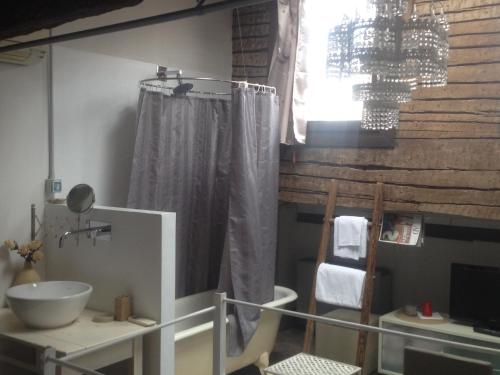 a bathroom with a sink and a shower curtain at 19 Borgo Cavour in Treviso
