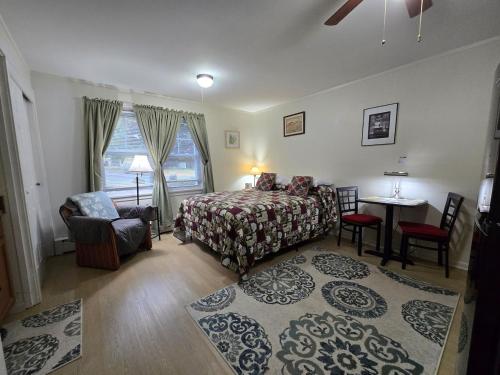 Postel nebo postele na pokoji v ubytování Saranac Lake Studio Apartment