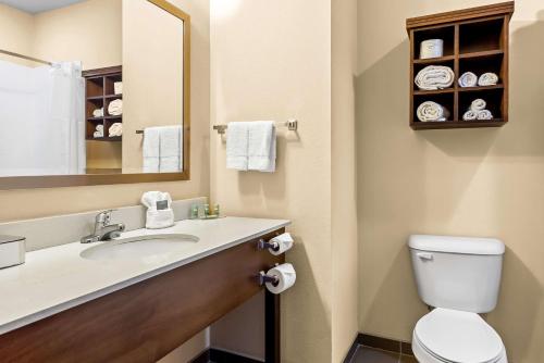 a bathroom with a sink and a toilet and a mirror at Best Western St. Louis Airport North Hotel & Suites in Hazelwood