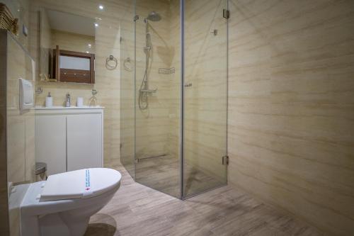 a bathroom with a shower with a toilet and a sink at Central Park Residence in Belgrade