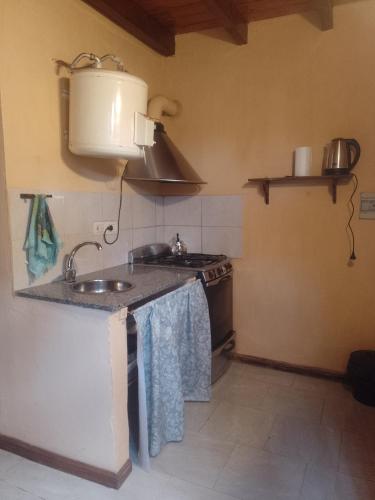 a kitchen with a sink and a stove at Complejo Conejo in San Antonio de Areco
