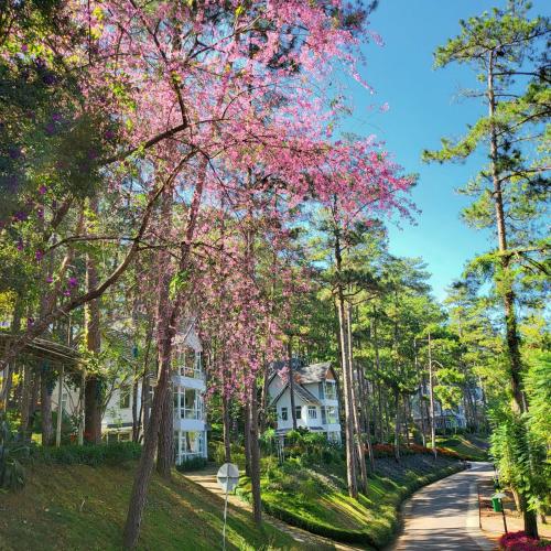 Κήπος έξω από το Lan Anh Villas Resort