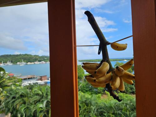 a bunch of bananas hanging from a window at Roatan - house for 4 by the sea in Jonesville