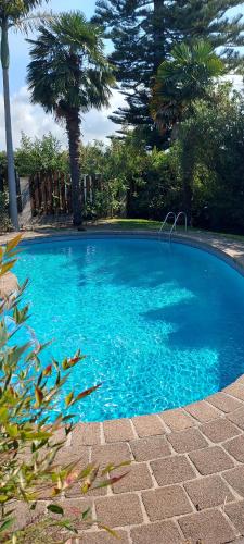 a blue swimming pool with palm trees in the background at Haley's cabin in Tauranga