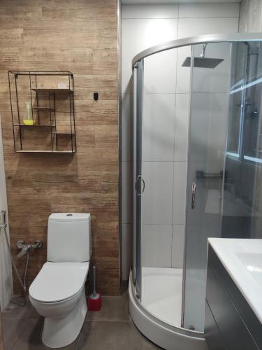 ein Badezimmer mit Dusche, Toilette und Waschbecken in der Unterkunft Modern 2-Room Comfort Apartment in Yerevan, Norashen in Yerevan