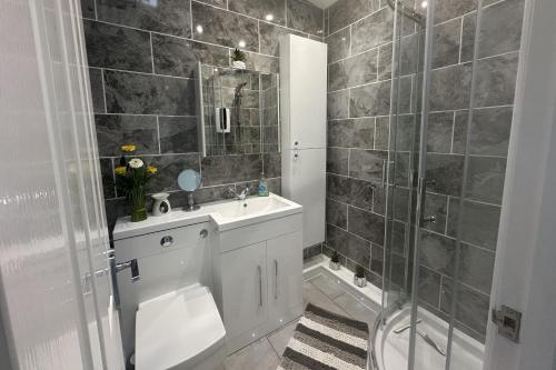 ein Badezimmer mit Toilette, Waschbecken und Dusche in der Unterkunft Dog friendly chalet in Hemsby by Winterton Cottages in Hemsby