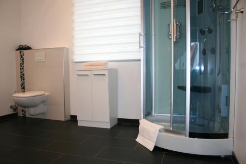 a bathroom with a shower and a toilet at Ferienwohnungen Julia Volkach in Volkach