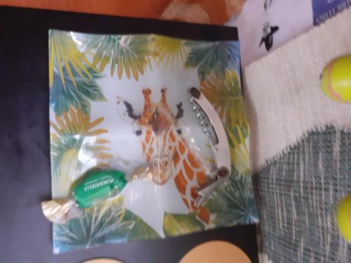 un livre avec une girafe à l'avant dans l'établissement Studette Paris 4, à Paris