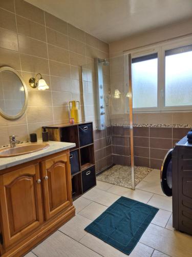 une salle de bain avec un lavabo et une douche dans l'établissement Gite Perce Neige, à Foncine-le-Haut