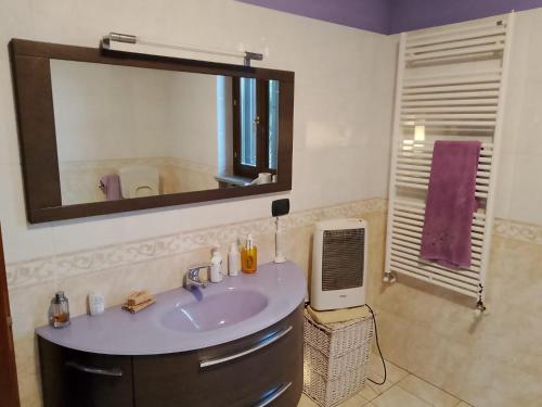 a bathroom with a sink and a mirror at Bed & Breakfast - IL MELOGRANO in Vercelli