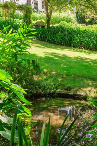 a bench sitting in a pond in a garden at The Cellars-Hohenort in Cape Town