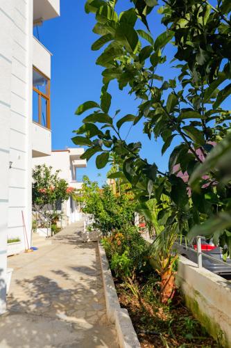 Κήπος έξω από το Vila Kristiano Ksamil