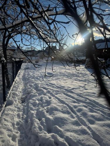 a snow covered path with the sun in the background at Шале WeLKoMe in Verkhovyna