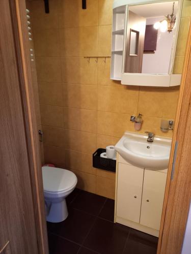 a bathroom with a toilet and a sink and a mirror at Apartament-Mieszkanie Gniezno-na doby in Gniezno