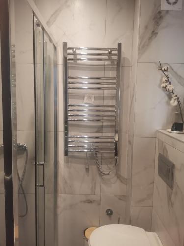 a bathroom with a toilet and a glass shower at Maršal, Titova vila in Zlatibor