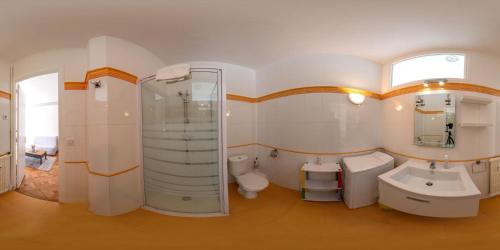 une salle de bain avec une douche, un lavabo et des toilettes dans l'établissement Lovely apartment near the sea 25 bis Promenade des Anglais, à Nice
