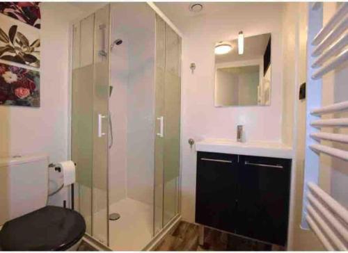 une salle de bain avec une douche, des toilettes et un lavabo dans l'établissement Studio dans maison individuelle, à Montpellier