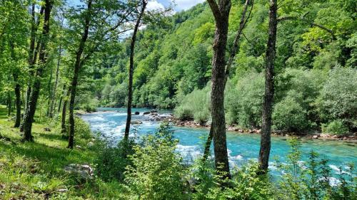 a river in a forest with blue water and trees at Rafting kamp HEDERA in Foča