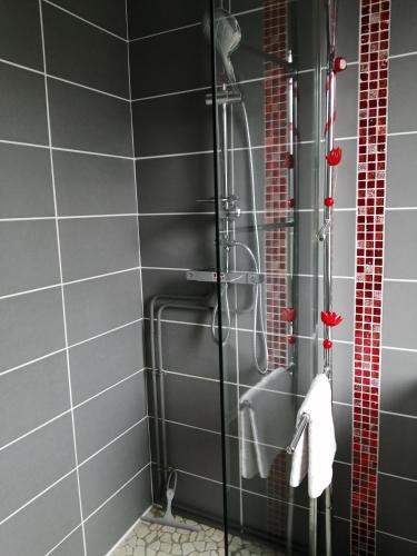 a shower in a bathroom with black tiles at Esprit de famille in Saint-Agnan-sur-Loire
