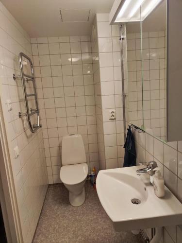 Ein Badezimmer in der Unterkunft Orebro Hideaway