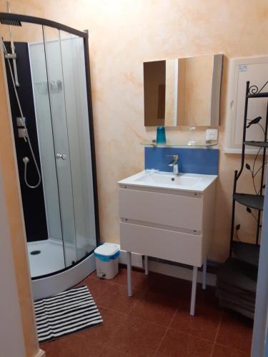 une salle de bain avec une douche, un lavabo et un miroir dans l'établissement Loft La Rotonde à La Terrasse local vélos piscine 2 à 6 personnes, à Tournon-sur-Rhône