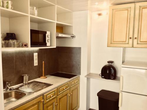 une petite cuisine avec un évier et un réfrigérateur dans l'établissement Comfortable studio-from city center and beaches, à Montpellier