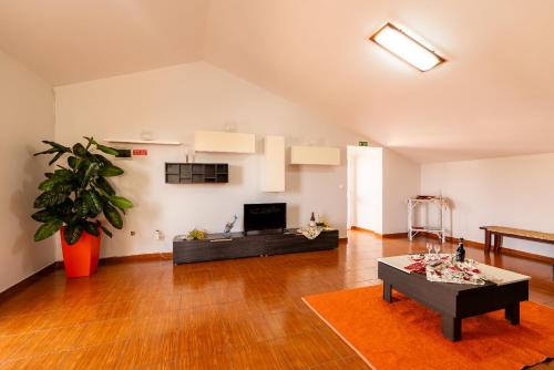 Apartamento Celia