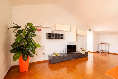 Apartamento Celia