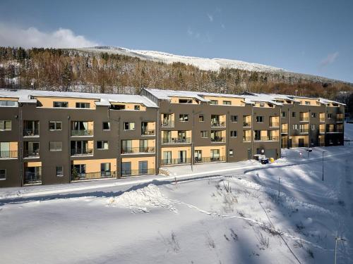 Apartment Černý Důl-3 by Interhome v zimě