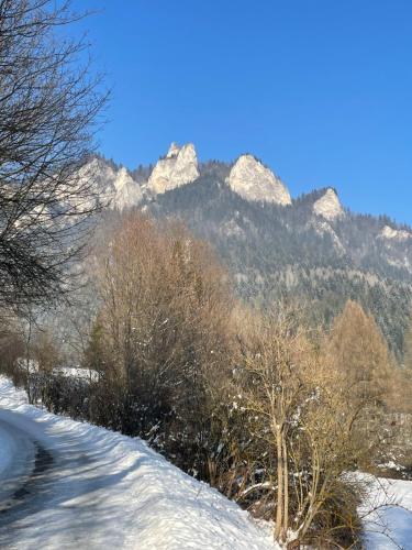 a snow covered road with mountains in the background at Winnica Spisz in Łapsze Niżne