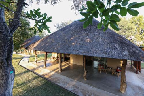 a hut with a thatched roof in a park at Senalala Safari Lodge in Klaserie Private Nature Reserve
