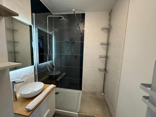 une salle de bain avec douche et lavabo dans l'établissement Bellevue - Premiere conciergerie, à Montpellier