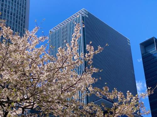 a tree with white flowers in front of a tall building at Nagoya JR Gate Tower Hotel in Nagoya