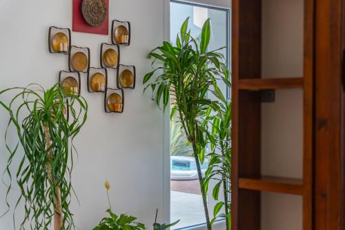 Φωτογραφία από το άλμπουμ του Ericeira Ocean View Villa σε Ericeira