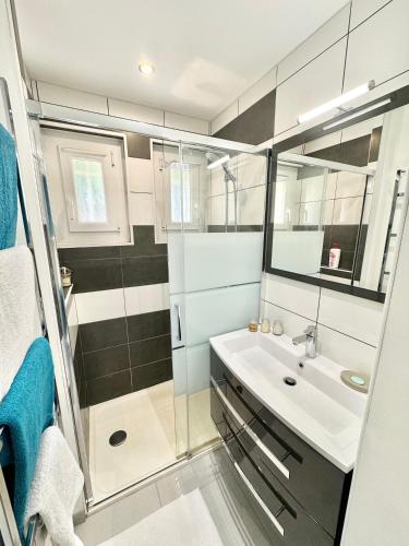 une petite salle de bain avec un lavabo et un miroir dans l'établissement Villa vue mer et montagnes 9 pers, à Porto-Vecchio