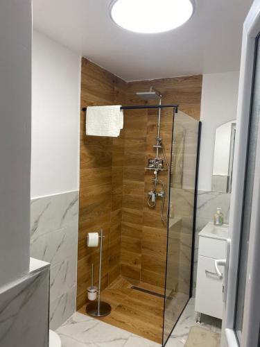 a shower with a glass door in a bathroom at Gap Mountain House in Săgagea