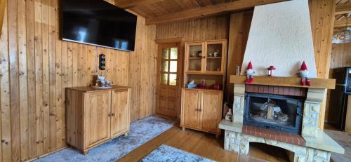a living room with a fireplace and a television at SOWIA CHATKA- Stryszawa - domek z jacuzzi in Stryszawa