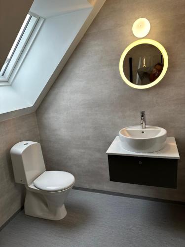 a bathroom with a toilet and a sink at Törreby 230 in Jörlanda