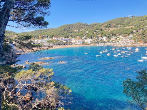 a view of a beach with boats in the water at 1Prun01 Llafranc in Llafranc