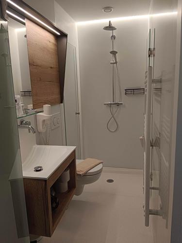 a bathroom with a toilet and a sink and a shower at Wein & Landhaus Willi Opitz in Illmitz