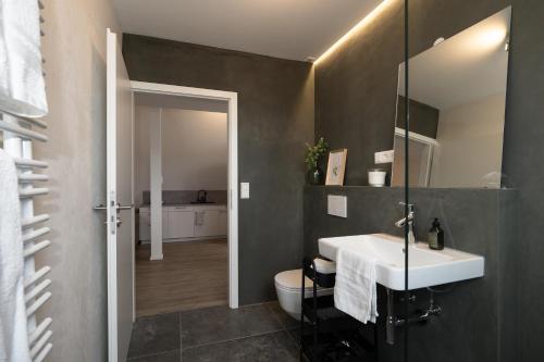 a bathroom with a sink and a toilet and a mirror at Luxury Apartment im Luftkurort Tengen in Tengen