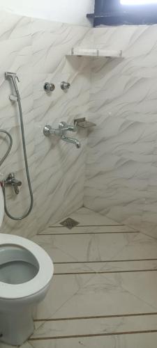 a bathroom with a toilet and a shower at zoz Jhelum river in Srinagar