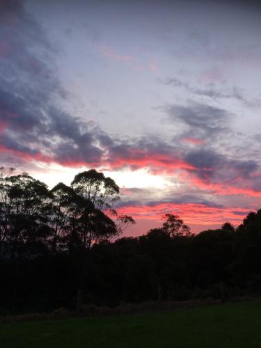 a sunset over a field with trees in the foreground at Maleny Luxury Cottages in Maleny