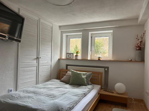 ein Schlafzimmer mit einem Bett und zwei Fenstern in der Unterkunft Ferienwohnung Rösler in Niederfüllbach