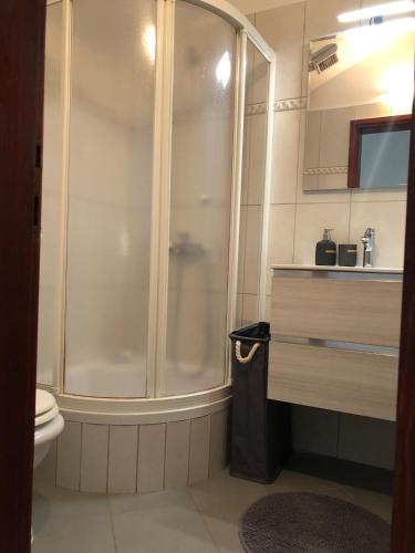 a bathroom with a shower and a toilet and a sink at Apartment sea view, Terrace, Parking near Korcula in Korčula