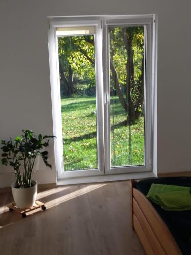 an empty room with two sliding doors and a plant at Dom wakacyjny nad jeziorem Zajączkowskim in Pniewy