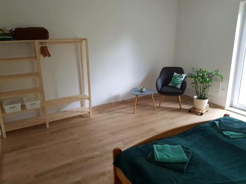 a room with a bed and a chair and a mirror at Dom wakacyjny nad jeziorem Zajączkowskim in Pniewy