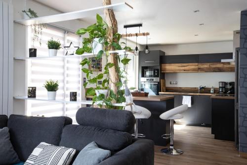un salon avec un canapé et une cuisine dans l'établissement Rare Maison moderne proche centre avec jardin parking gratuit, à Colmar